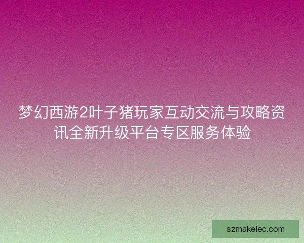 梦幻西游2叶子猪玩家互动交流与攻略资讯全新升级平台专区服务体验