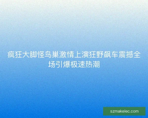疯狂大脚怪鸟巢激情上演狂野飙车震撼全场引爆极速热潮 疯狂大脚怪鸟巢激情上演狂野飙车震撼全场引爆极速热潮